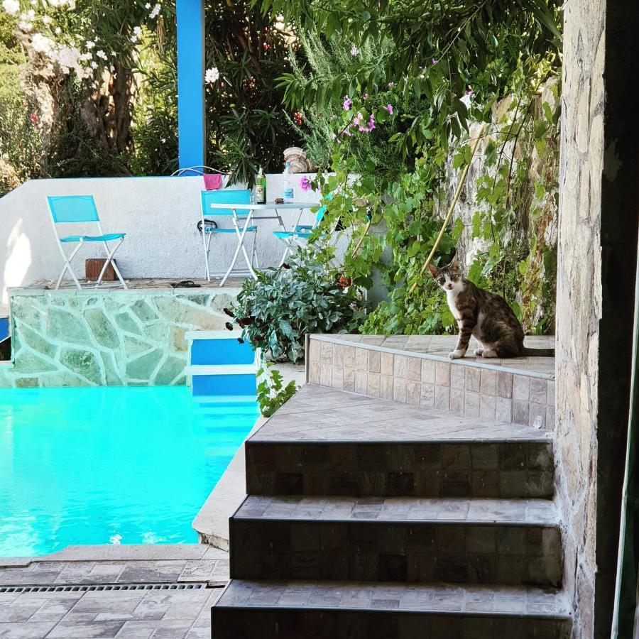 Apartment Bradex Dreams Bečići Εξωτερικό φωτογραφία