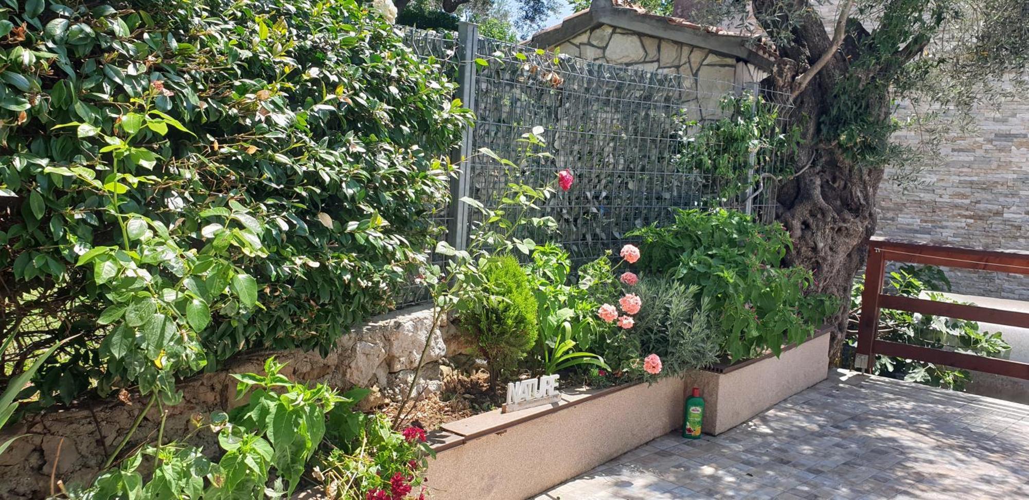 Apartment Bradex Dreams Bečići Δωμάτιο φωτογραφία